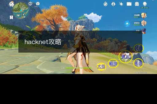 hacknet攻略