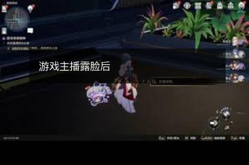 游戏主播露脸后